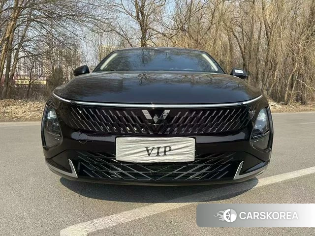 Wuling Automobile Wuling Starlight PHEV id 3944981 из Китая 16
