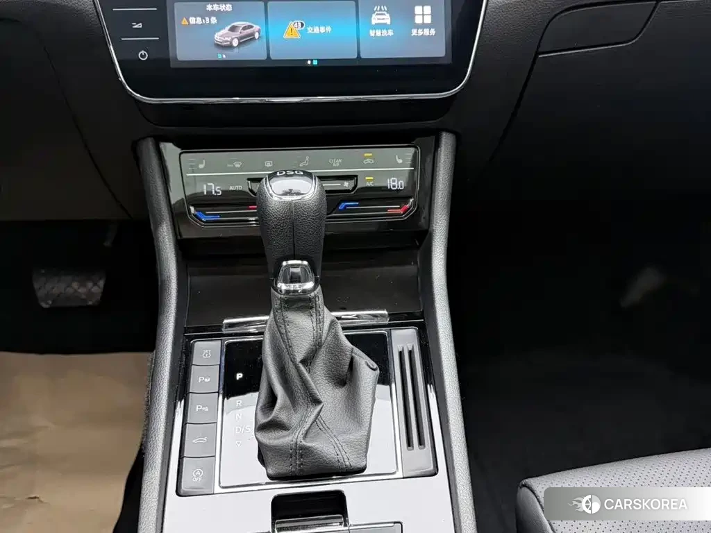 Skoda Speed pie id 4553642 из Китая 10