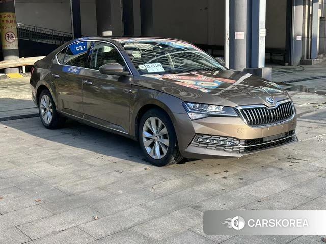 Skoda Speed pie 2020 Коричневый из Китая, фото 5