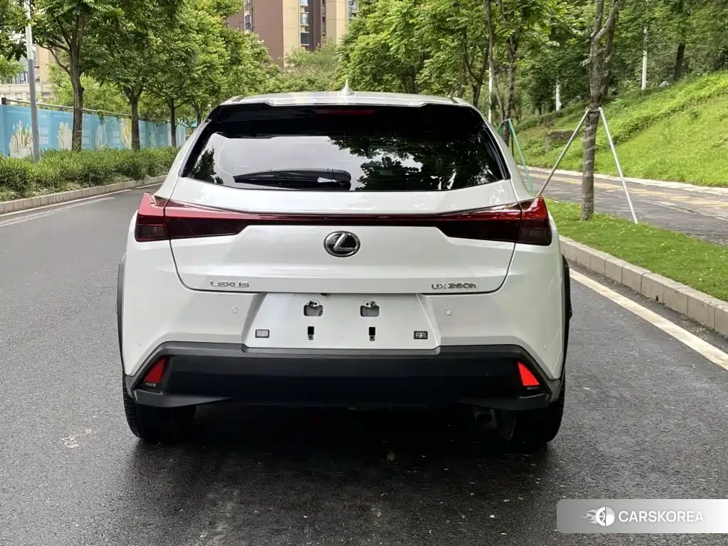 Lexus UX id 4628298 из Китая 14