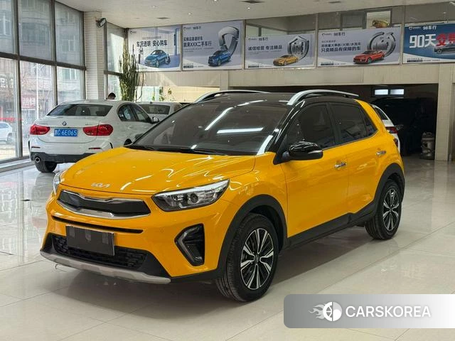 Kia Yi Ran id 4314684 из Китая 17