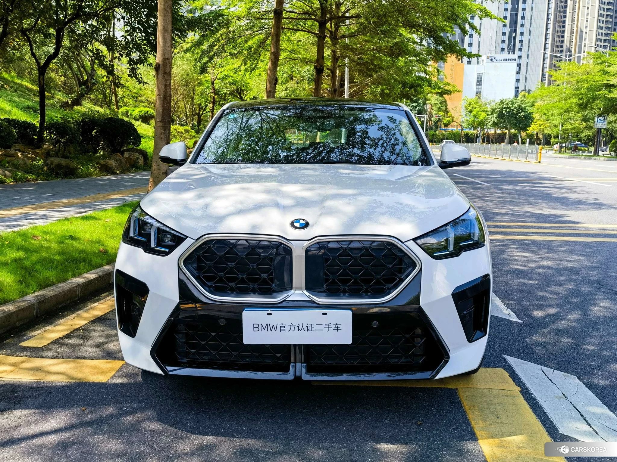 BMW X2 (import) id 4407390 из Китая 10