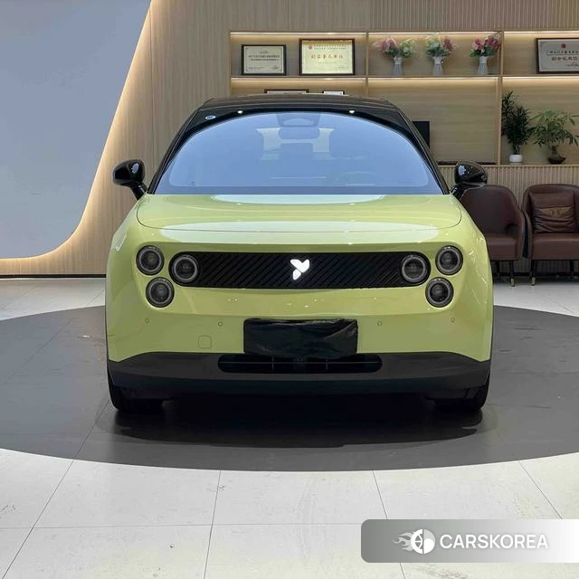 firefly firefly Unknown id 3993585 из Китая 27