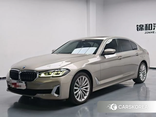 BMW 5 series 2021 Шампань из Китая, фото 5