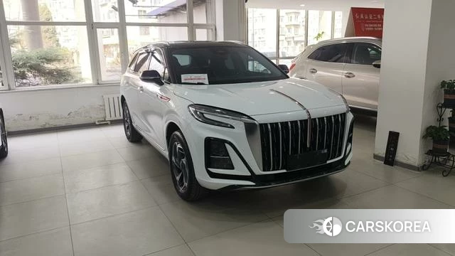 Red flag HS3 2024 Белый из Китая, фото 5