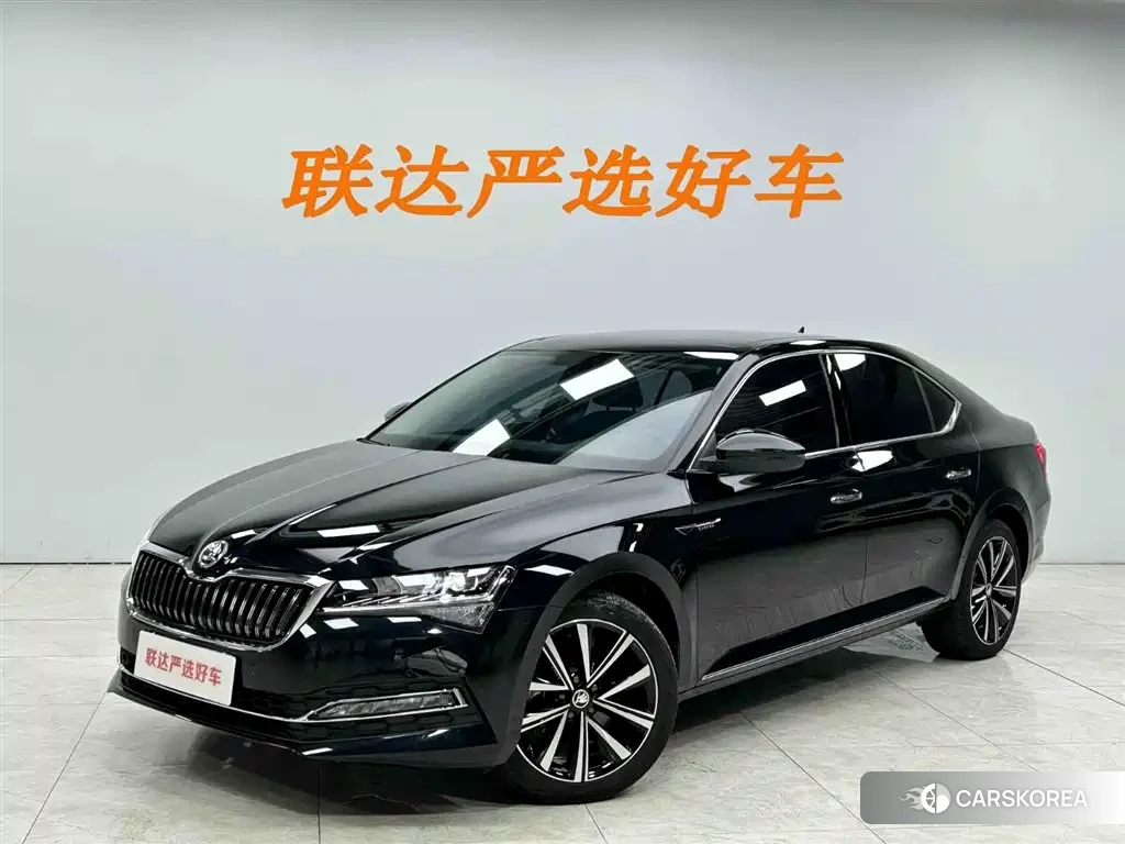 Skoda Speed pie id 4565175 из Китая 20
