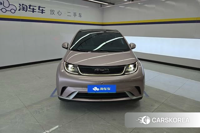 BYD dolphin id 3907870 из Китая 12