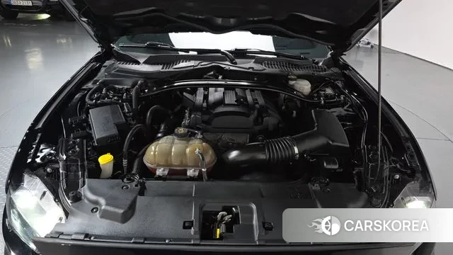 Ford Mustang id 3013638 из Кореи 15