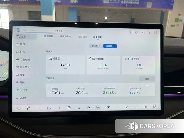 BYD Tang DM 2025 Темно-серый из Китая, фото 6