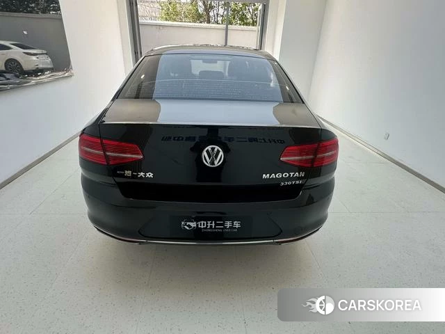 Volkswagen Magotan id 4240330 из Китая 18