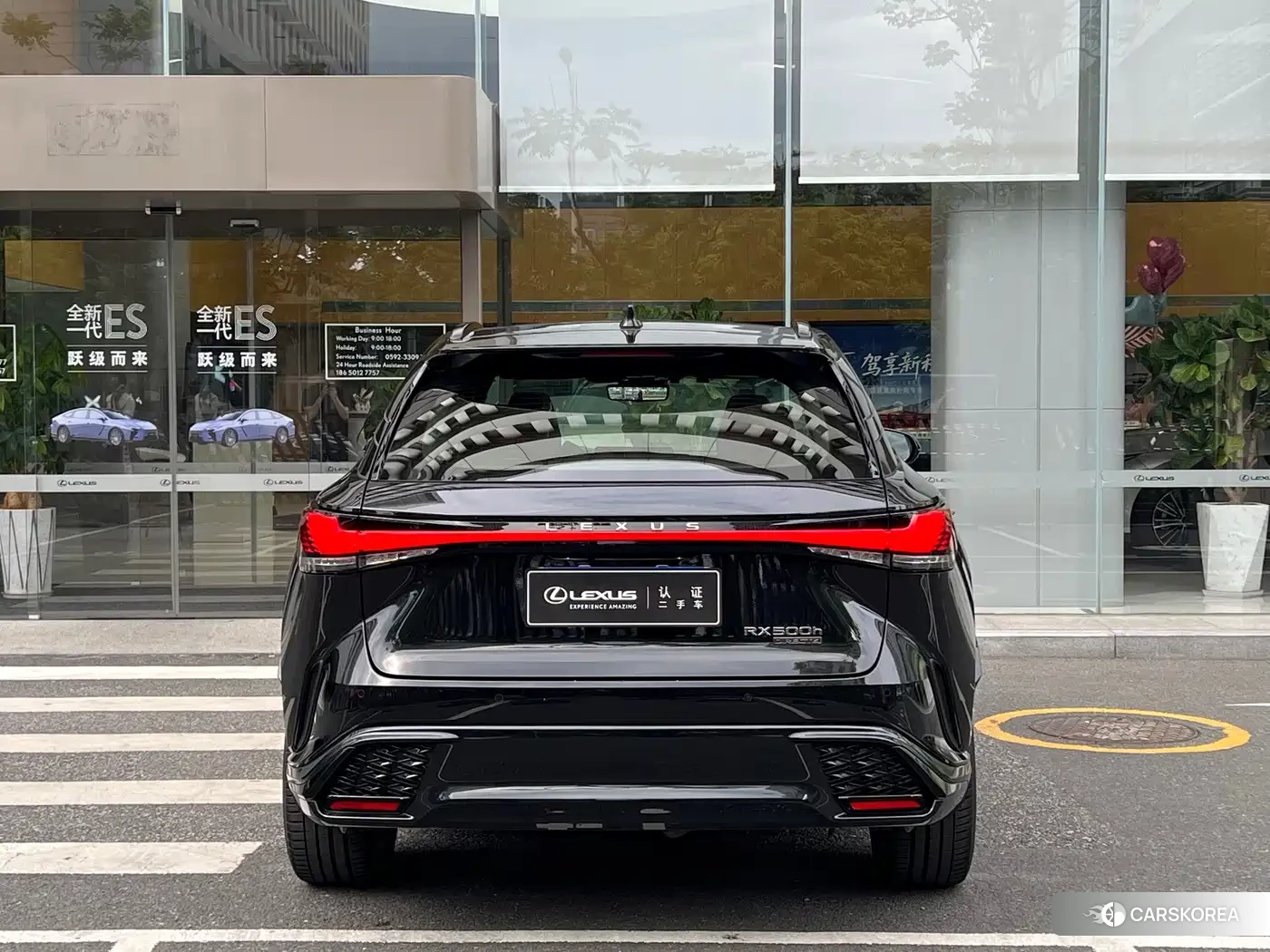 Lexus RX id 4654472 из Китая 14