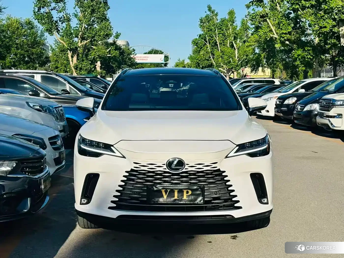 Lexus RX id 4601985 из Китая 23