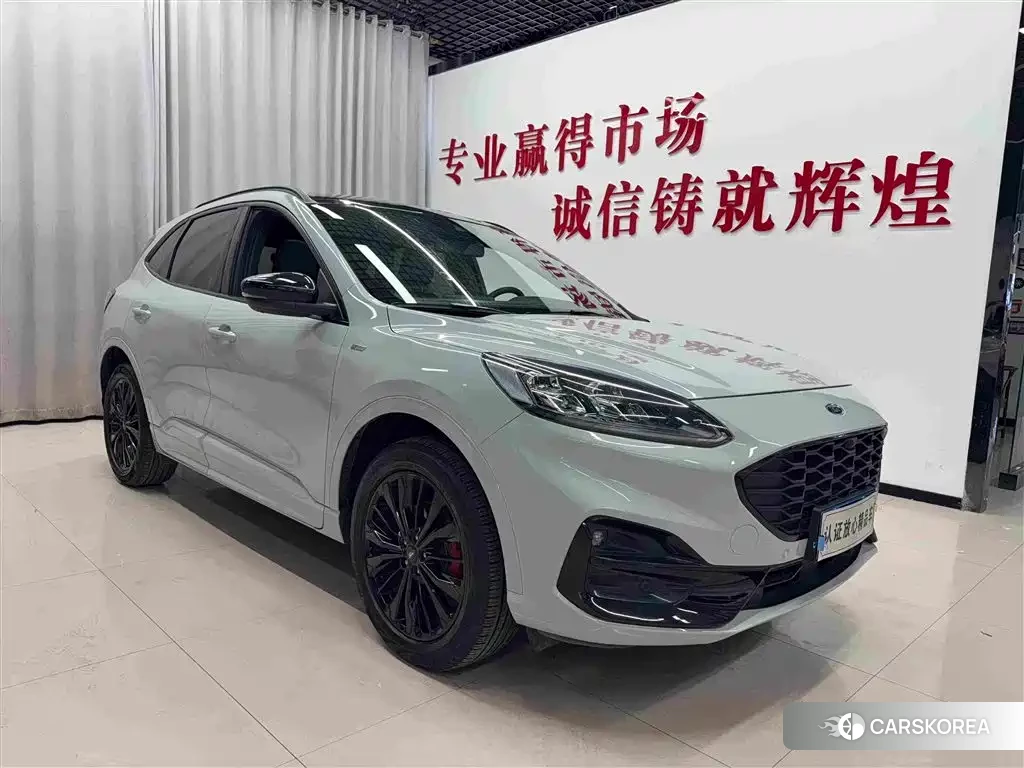Ford Ruiji 2023 Silver/gray из Китая, фото 5