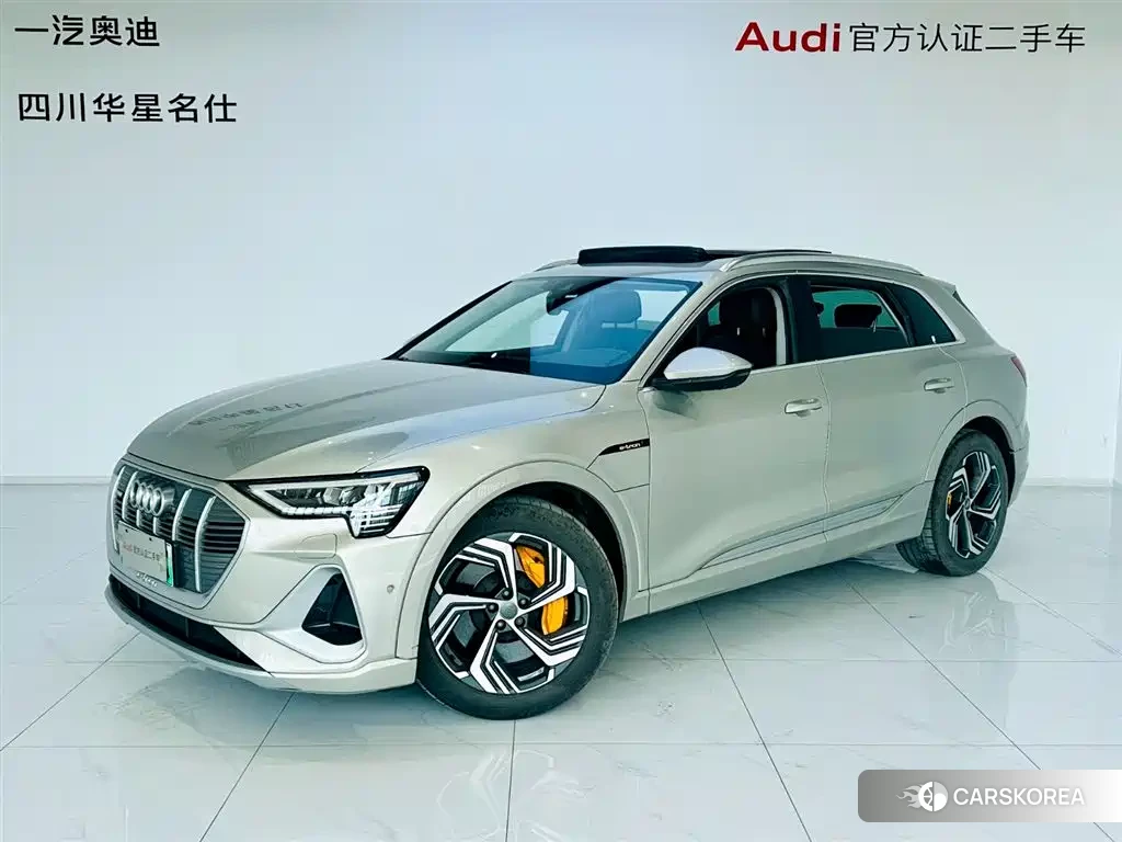 Audi e-tron 2022 Champagne/brown из Китая, фото 5