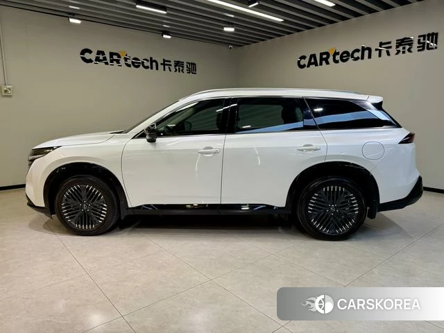 Nissan Exploring the land id 3896018 из Китая 25