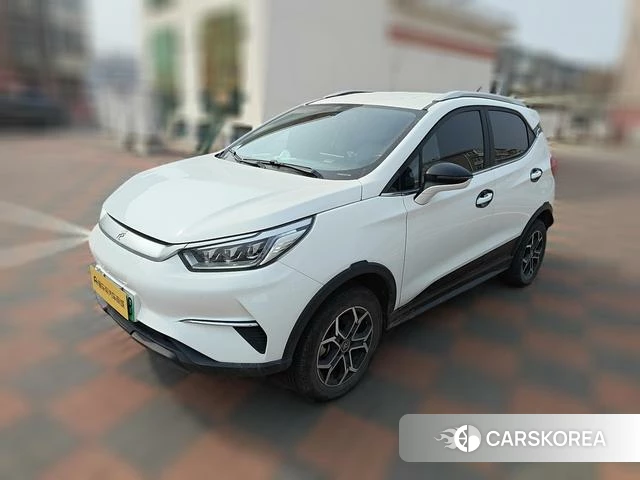 BYD Yuan Pro 2021 Белый из Китая, фото 5