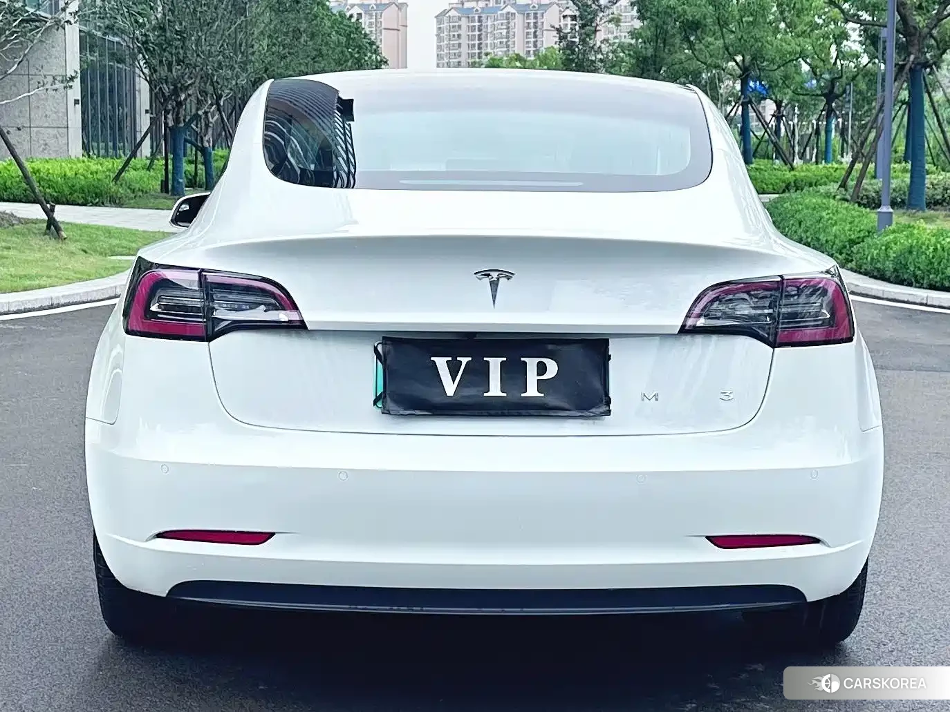 Tesla Model 3 2020 Белый из Китая, фото 6