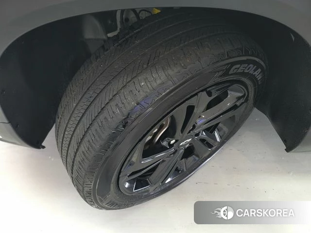Chevrolet (GM Daewoo) Trailblazer id 4519044 из Кореи 15