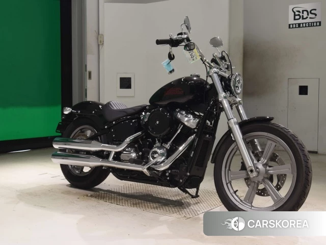 Harley-Davidson Softail Standart FXST1750 2024 из Японии, фото 5