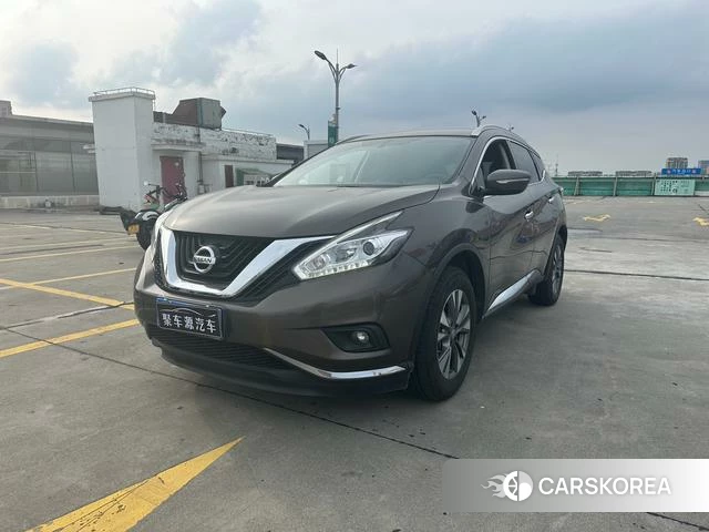 Nissan Loulan 2021 Коричневый из Китая, фото 5