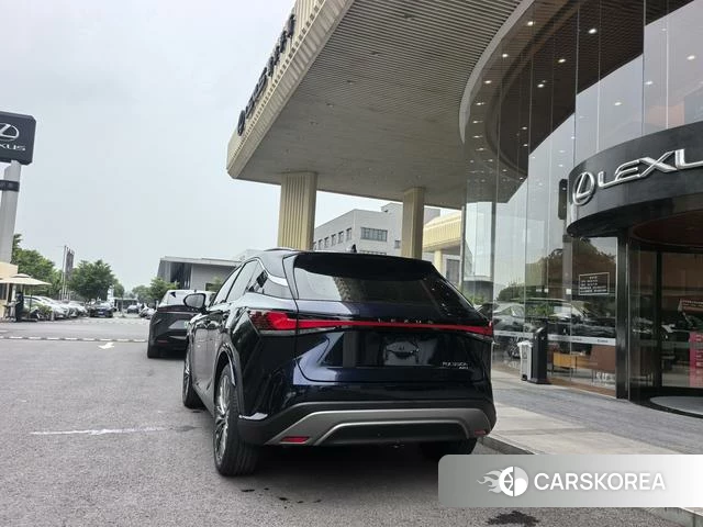 Lexus RX id 4290406 из Китая 12