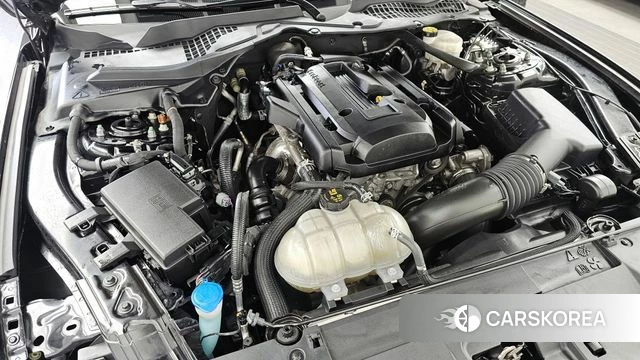 Ford Mustang id 3877827 из Кореи 15