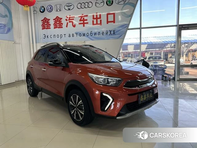 Kia Yi Ran id 4341939 из Китая 12