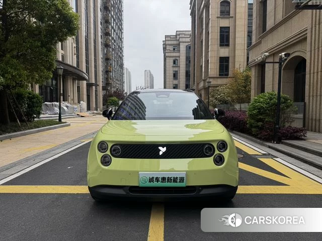 firefly firefly Unknown id 4182512 из Китая 9