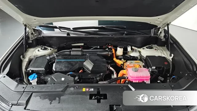 Hyundai Santa Fe (MX5) id 3383231 из Кореи 15