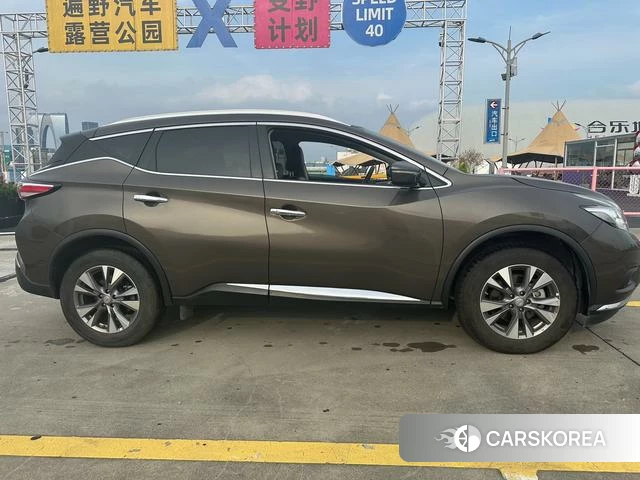 Nissan Loulan 2021 Шампань из Китая, фото 6