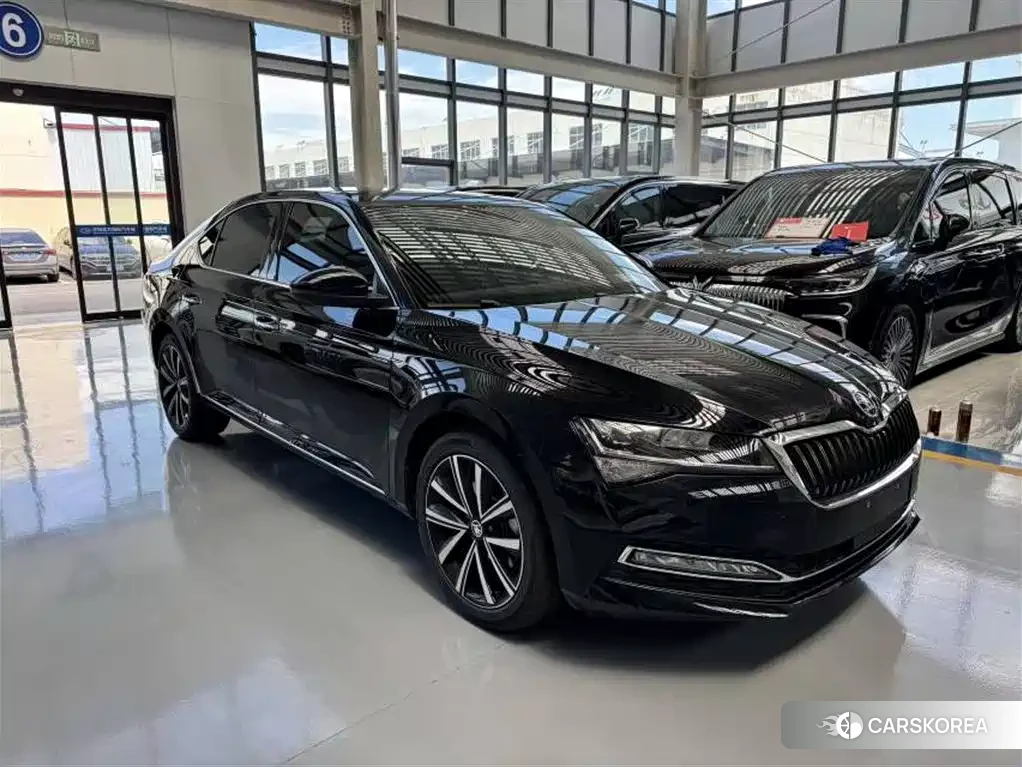 Skoda Speed pie 2026 Черный из Китая, фото 5