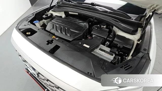 Hyundai Santa Fe TM id 3698723 из Кореи 15