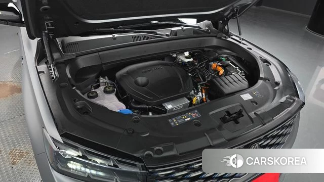 Renault Korea (Samsung) Grand Coleos id 4700589 из Кореи 30