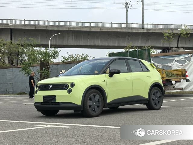 firefly firefly Unknown id 3968998 из Китая 9