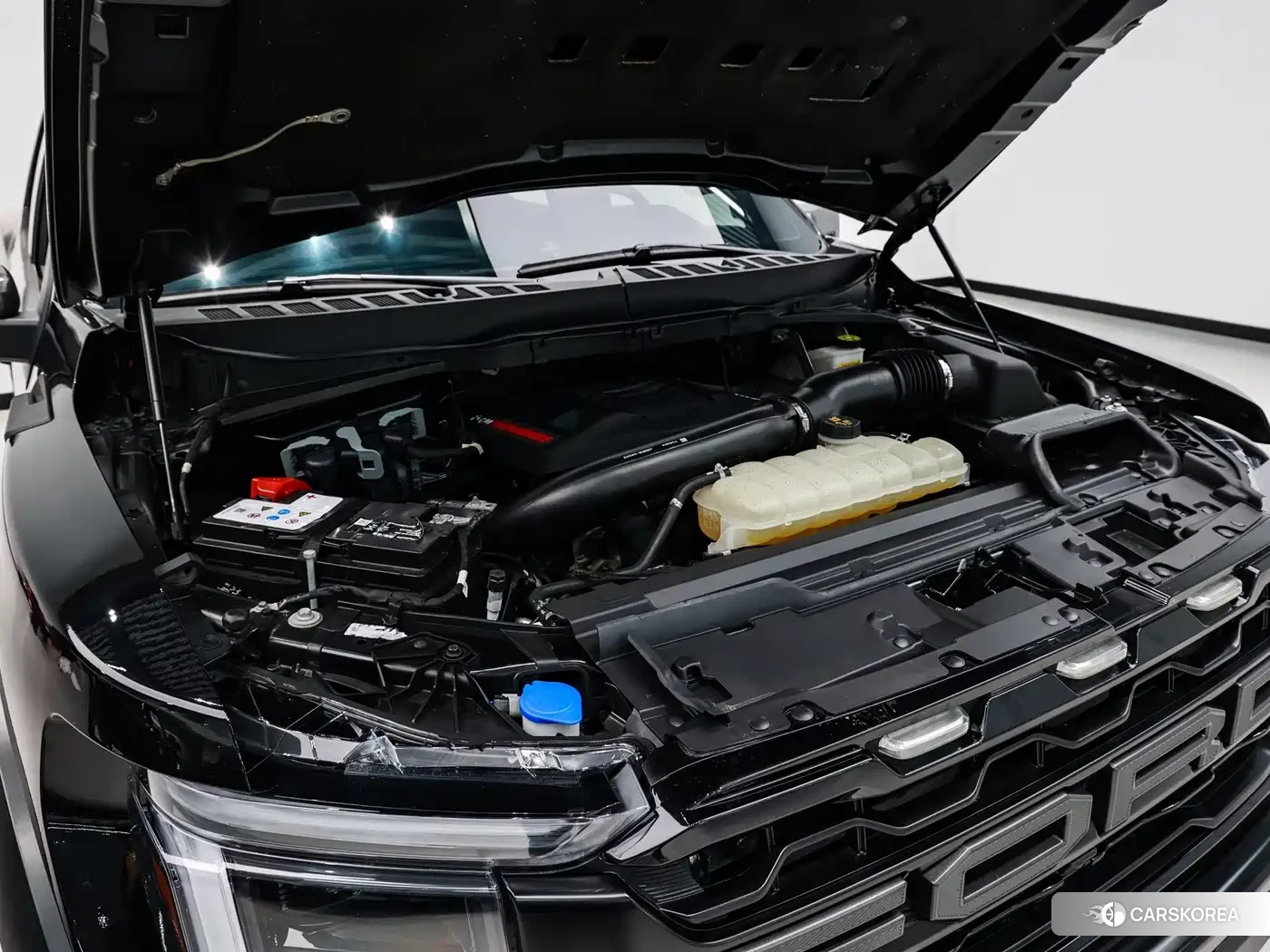 Ford F-150 Raptor id 4538915 из Китая 18