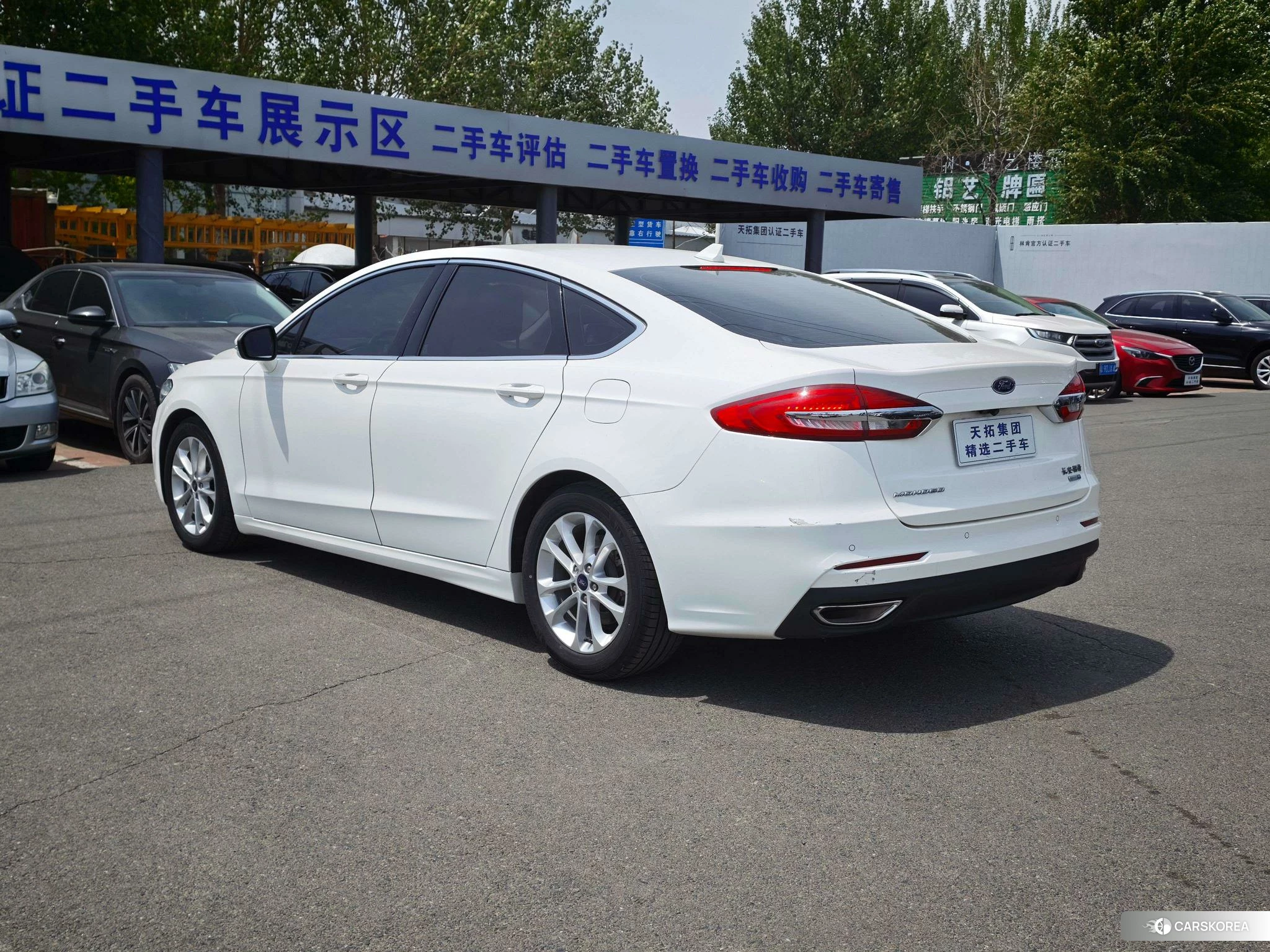Ford Mondeo 2020 Белый из Китая, фото 6