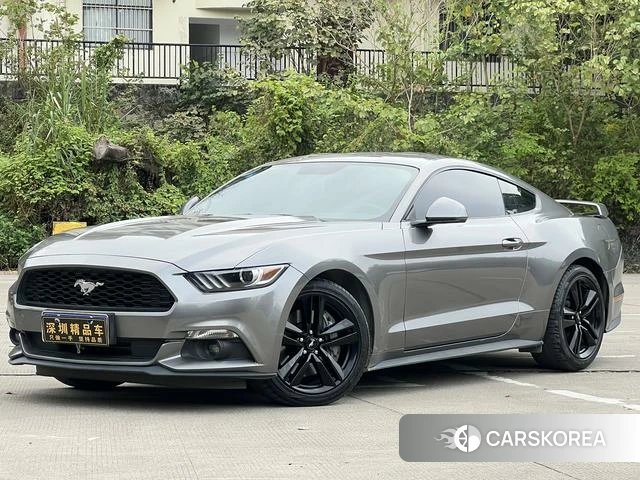 Ford Mustang id 4221876 из Китая 11