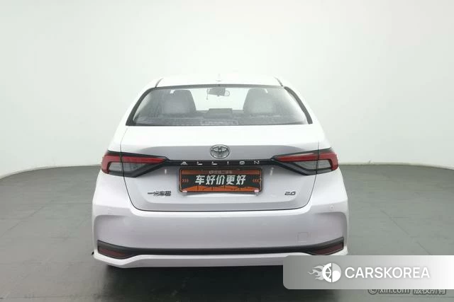 Toyota Asian lion id 4262445 из Китая 19