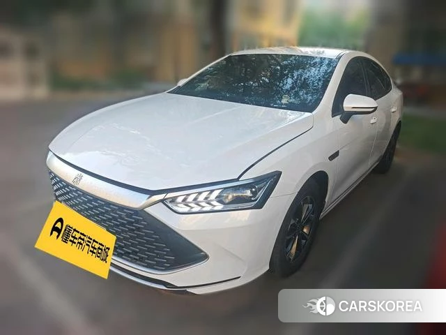 BYD Qin PLUS DM 2023 Белый из Китая, фото 5