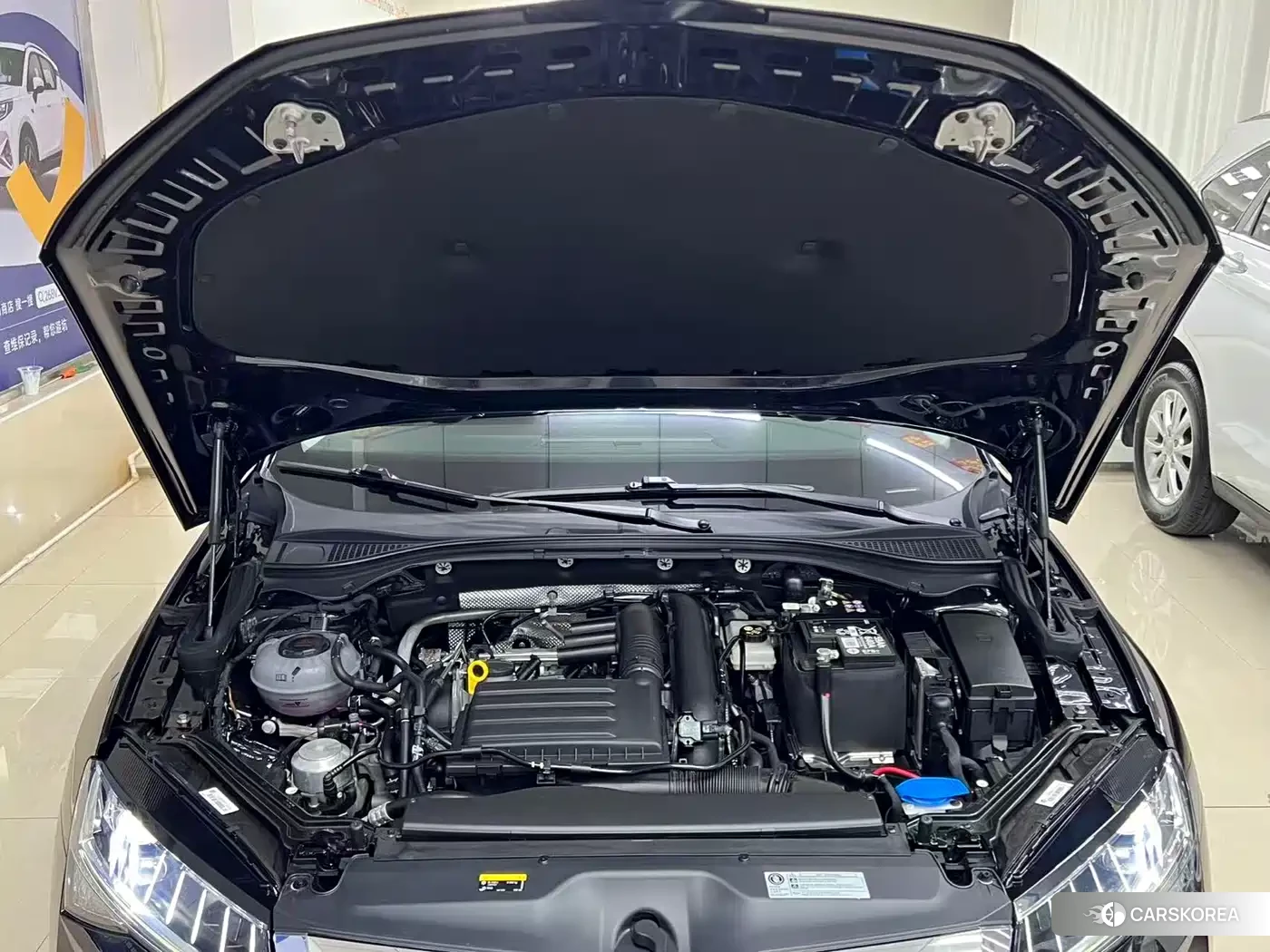 Skoda Speed pie id 4548085 из Китая 17