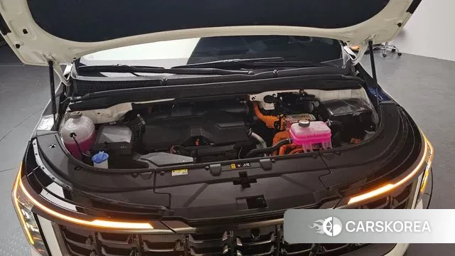 Kia The New Carnival 4th Generation id 3757740 из Кореи 15