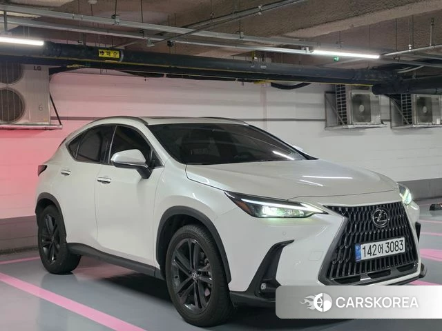 Lexus NX350h Second generation 2025 Белый из Кореи, фото 5