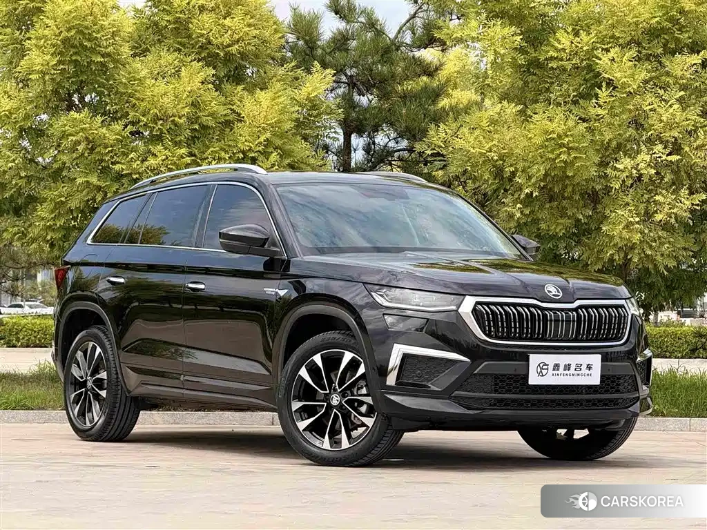 Skoda Kodiaq id 4589138 из Китая 22