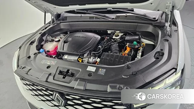 Renault Korea (Samsung) Grand Coleos id 3769502 из Кореи 15