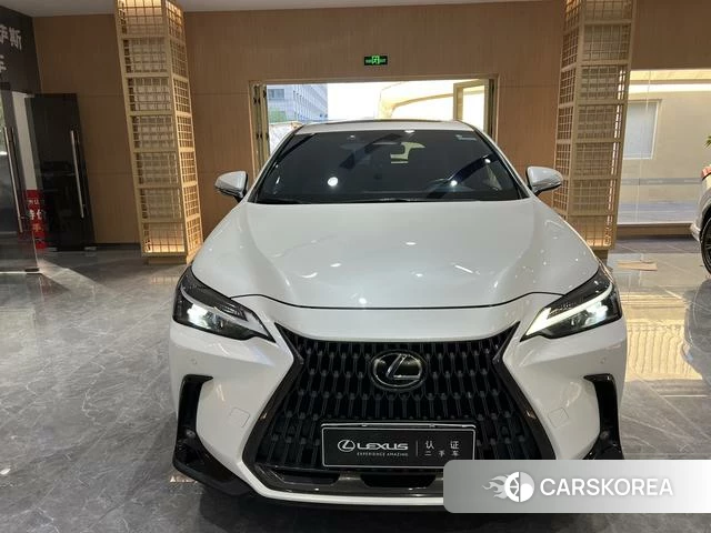 Lexus NX PHEV id 4274417 из Китая 13