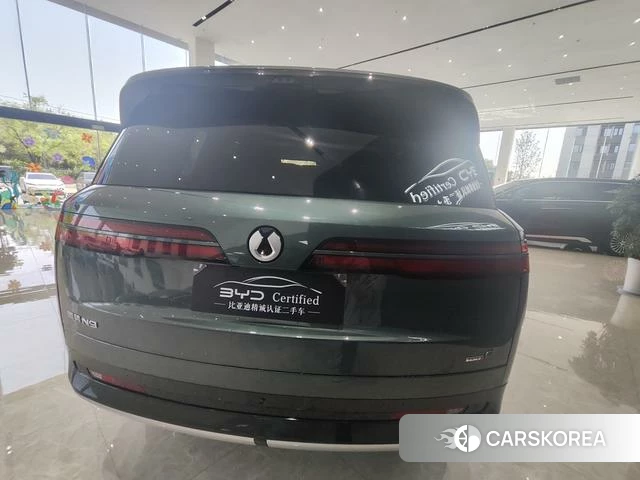Denza N9 DM 2025 Другой из Китая, фото 5