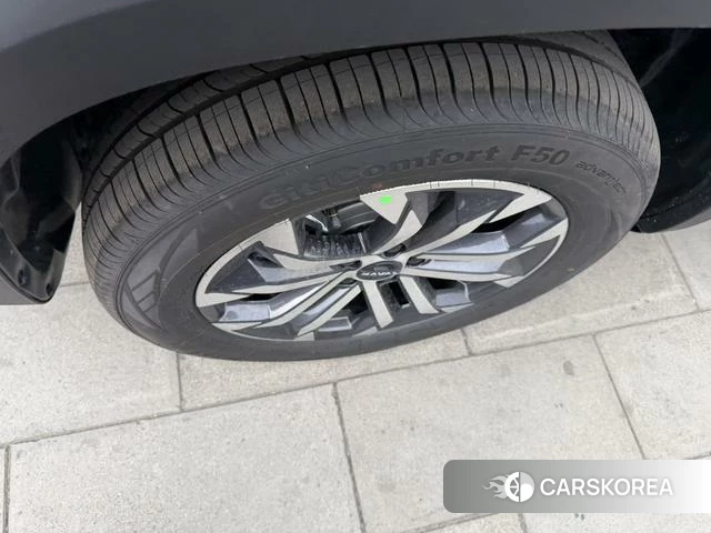 Haval Big dog id 4254478 из Китая 8