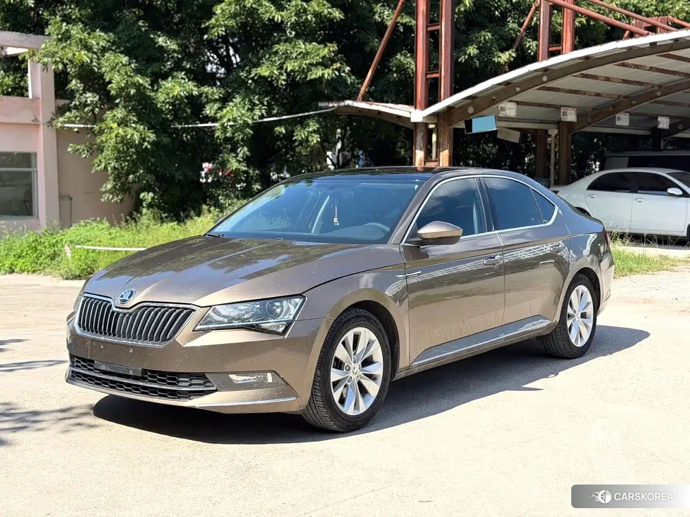 Skoda Speed pie 2018 Champagne/brown из Китая, фото 5