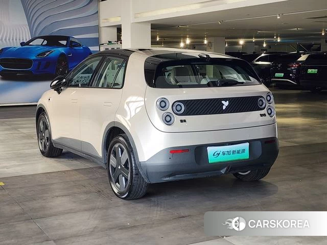 firefly firefly Unknown 2025 Шампань из Китая, фото 5