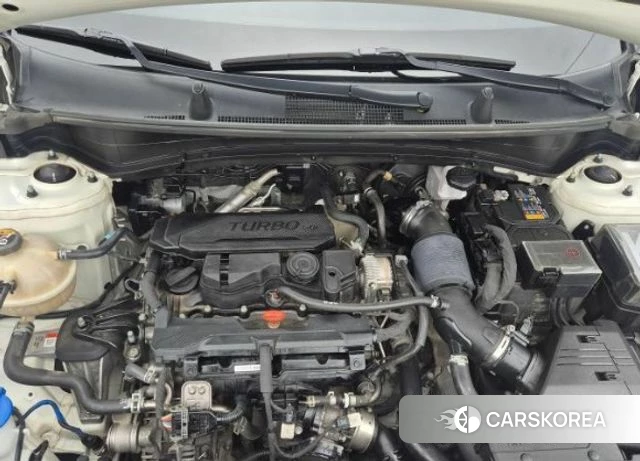 Kia Sportage 5th Generation 2023 Белый из Кореи, фото 5